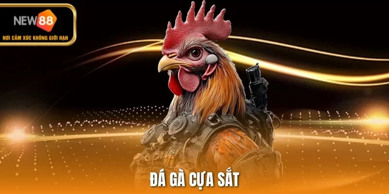 đá gà cựa sắt