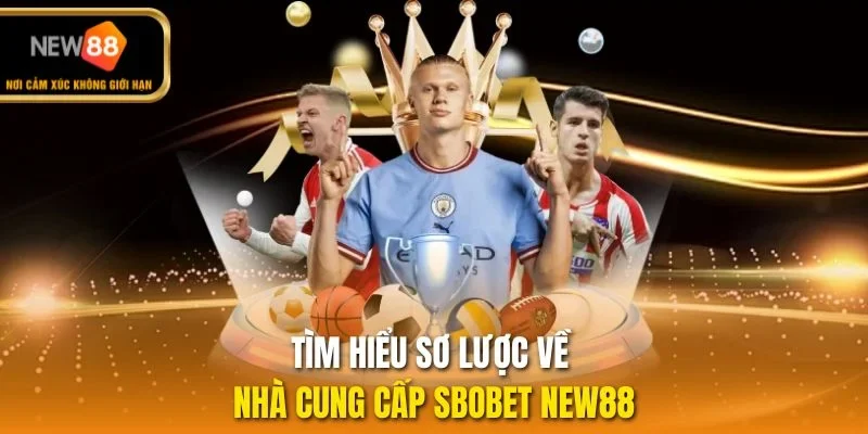 Tìm hiểu sơ lược về nhà cung cấp Sbobet NEW88